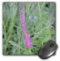 3dRose LLC 8 X 8 X 0.25 Inches Natures Beauty Mouse Pad (mp_22665_1)