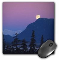 3dRose LLC 8 x 8 x 0.25 Inches Nightfall in Alaska Pattern Mouse Pad (mp_46464_1)
