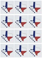 3dRose Set of 12 Greeting Cards, Texas state Flag in Outline Map (gc_58725_2)