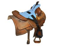 Junior Designer Sidekicks with Regular Stirrups (Blue)