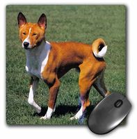 3dRose LLC 8 x 8 x 0.25 Inches Mouse Pad, Basenji (mp_4264_1)