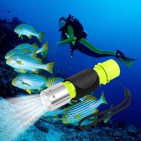 Oumers 1100 Lumen CREE XM-L2 Professional Diving Flashlight, Super Bright LED Diving Light Waterproof Underwater Torch for Scuba Diving and Other Outdoor Activities