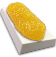 Amazing Fat Replica 1lb - Realistic Anatomic Fat Model - Accurate Feel and Appearance of 1 Pound of Fat - Great for Students in Physiology & Science - Learn Body Fat Anatomy