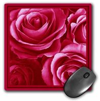 3dRose Close Up of Dreamy Lipstick Pink Rose Bouquet Mouse Pad (mp_29825_1)