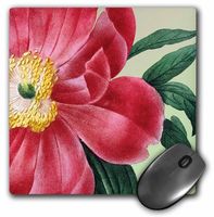 3dRose LLC 8 X 8 X 0.25 Inches Vintage Peony Floral - Red Flowers Mouse Pad (mp_79190_1)