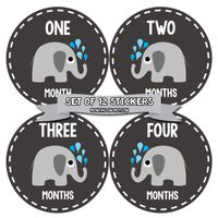 Months In Motion Gender Neutral Baby Month Stickers - Monthly Milestone Sticker for Boy or Girl - Infant Photo Prop for First Year - Shower Gift - Newborn Keepsakes - Unisex- Chalkboard- Elephants