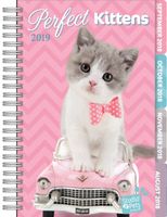 Turner Licensing Studio Pets - Kittens 2019 Tabbed Planner (19998420242)