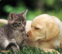 WOW!PAD 7.5" x 8.5" Puppies & Kittens Mouse Pad (78PK98-001)