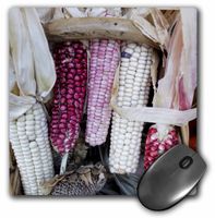 3dRose LLC 8 x 8 x 0.25 Inches Mouse Pad, Ornamental Dried Corn, Julien McRoberts (mp_92719_1)