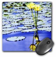 3dRose LLC 8 x 8 x 0.25 Inches Yellow Mirrored Water Lilies Mouse Pad (mp_56988_1)
