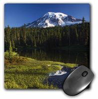 3dRose LLC 8 x 8 x 0.25 Inches Mouse Pad, Mount Rainier in Reflection Lake, Paintbrush - Jamie and Judy Wild (mp_95923_1)