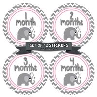 Months in Motion Baby Monthly Stickers - Baby Milestone Stickers - Newborn Girl Stickers - Month Stickers for Baby Girl - Baby Girl Stickers - Newborn Monthly Milestone Stickers - Style 380