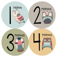 Months In Motion Gender Neutral Monthly Baby Milestone Stickers - Onesie Month Sticker - Infant Photo Prop for First Year - Shower Gift - Newborn Keepsakes - Unisex Boy or Girl - Animals Owl