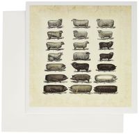 3dRose Vintage Pigs n Sheep - Greeting Cards, 6 x 6 inches, set of 6 (gc_80428_1)