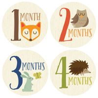 Fox, Monthly Baby Sticker, Woodland, Baby Gift, Baby Boy