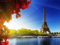 DZJYQ 6.5x5ft(2x1.5m) Gorgeous Spring Summer Romantic Eiffel Tower Holiday Tour Scenery Birthday Party Wedding Portrait Studio Backdrop Photography Background 190