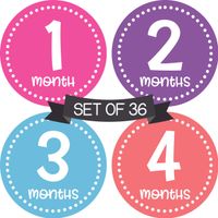 Baby Monthly Milestone Stickers for Girls Stickers - Baby Milestone Stickers Girl - Month Stickers for Baby Girl Stickers - Baby Month Stickers - Baby Girl Monthly Stickers - Baby Months Milestone