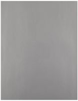 Brady LAT-28-773-25-SH 8.5" Width x 11" Height, B-773 Metallized Polyester, Matte Finish Silver Laser Printable Label (Pack of 25)