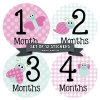 Months in Motion Baby Monthly Stickers - Baby Milestone Stickers - Newborn Girl Stickers - Month Stickers for Baby Girl - Baby Girl Stickers - Newborn Monthly Milestone - Pink Bugs - Style 317