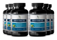Mens Sexual Enhancement Pills - Pure Tribulus Terrestris Extract 1000mg 45% Saponins - Tribulus Pure Extract - 6 Bottles 540 Tablets