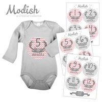12 Monthly Baby Stickers, Deer Antlers, Flowers, Baby Girl, Baby Belly Stickers, Baby Month Stickers, First Year Stickers Months 1-12, Pink, Grey, Gray, Chevron, Deer Antlers, Girl