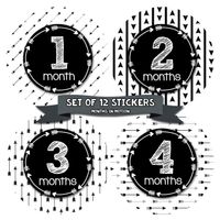 Months In Motion Gender Neutral Baby Month Stickers - Monthly Milestone Sticker for Boy or Girl - Infant Photo Prop for First Year - Shower Gift - Newborn Keepsakes - Unisex - Tribal Arrows