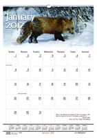 House of Doolittle 2017 Monthly Wall Calendar, Earthscapes Wildlife, 12 x 16.5" (HOD3732-17)