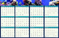 House of Doolittle Earthscapes Sea Life Reversible Write-On/Wipe-Off Wall Planner, January 2014 to December 2014, 24 x 37 Inches, Recycled (HOD3969)
