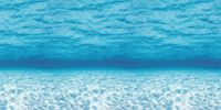 Fadeless Bulletin Board Art Paper, Under The Sea, 48" x 12', 1 Roll