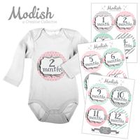 12 Monthly Baby Stickers, Pink, Gray, Mint, Girl, Baby Belly Stickers, Baby Month Stickers, First Year Stickers Months 1-12, Pink, Gray, Mint, Baby Girl