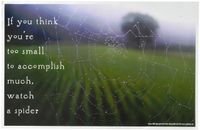 Youth Change Workshops Self-Esteem, Motivational Inspirational Poster & gt (Poster #588)