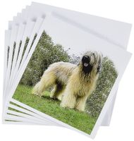 3dRose Briard - Greeting Cards, 6 x 6 inches, set of 6 (gc_406_1)