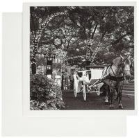 3dRose Indiana, Indianapolis. Horse and carriage - US15 AMI0041 - Anna Miller - Greeting Cards, 6 x 6 inches, set of 12 (gc_90225_2)