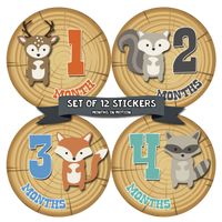Months In Motion Monthly Baby Milestone Stickers for Boy - Onesie Month Sticker - Infant Photo Prop for First Year - Shower Gift - Newborn Keepsakes - Woodland Animals (Style 809)