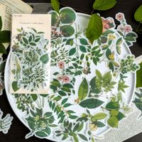 Green Plants Style Stickers Pack 60 Pcs Suitcase Stickers Decals for Laptop Bumper Helmet Ipad Car Luggage Water Bottle