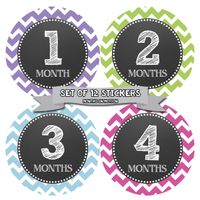 Months In Motion Monthly Baby Milestone Stickers for Girl - Onesie Month Sticker - Infant Photo Prop for First Year - Shower Gift - Newborn Keepsakes (Style 071)