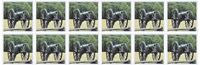 3dRose Civil War cannon Greeting Cards, 6" x 6", Set of 12 (gc_43816_2)
