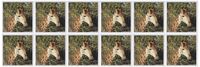 3dRose South African Giraffe headface - Greeting Cards, 6 x 6 inches, set of 12 (gc_20122_2)