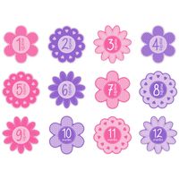 Tiny Ideas First Year Monthly Milestone Flowers Photo Sharing Baby Belly Stickers, 1-12 Months, Pink
