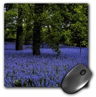 3dRose LLC 8 x 8 x 0.25 Inches Field of Blue Bells Mouse Pad (mp_151892_1)