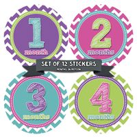 Baby Monthly Milestone Stickers - Baby Month Stickers for Girl - Baby Monthly Stickers for First Year - Style 284