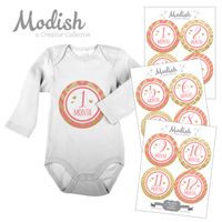 12 Monthly Baby Stickers, Gold Glitter {Faux}, Pink, Baby Girl, Baby Belly Stickers, Monthly Onesie Stickers, First Year Stickers Months 1-12, Coral, Pink, Gold Glitter, Stripes, Chevron, Polka Dots, Quatrafoil, Glamour, Fashion