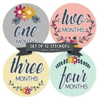 Months In Motion Baby Girl Monthly Milestone Stickers - Onesie Month Sticker - Infant Photo Prop for First Year - Shower Gift - Newborn Keepsakes