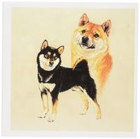3dRose Shiba Inu - Greeting Cards, 6 x 6 inches, set of 12 (gc_1022_2)