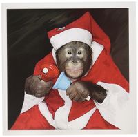3dRose Christmas Monkey - Greeting Cards, 6 x 6 inches, set of 6 (gc_4579_1)