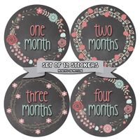 Months in Motion Baby Monthly Stickers - Baby Milestone Stickers - Newborn Girl Stickers - Month Stickers for Baby Girl - Baby Girl Stickers - Newborn Monthly Milestone - Floral Chalkboard - Style 392