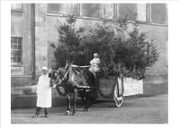 Nouvelles Images XDB 480 Holiday Boxed Note Card Set - William Power Seed Merchant Cart (XDB 480)