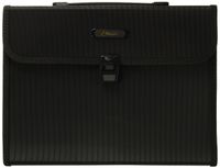 Wilson Jones Poly Expanding Brief File, 5.25 Expansion, 13 Pocket and Tabs, 12 x 10 Inches, Black (W91165A)