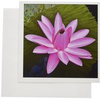 3dRose Decorative colorful garden botanic classic plant water lily green red flower - Greeting Cards, 6 x 6 inches, set of 12 (gc_128195_2)