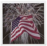 3dRose Fireworks and American Flag - Greeting Cards, 6 x 6 inches, set of 12 (gc_14246_2)